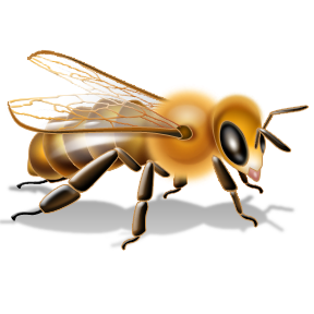 Bee PNG image-4296